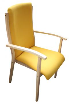 kantineneinrichtung_senioren_tagespflege_stuehle_seniorenstuehle_(23).jpg